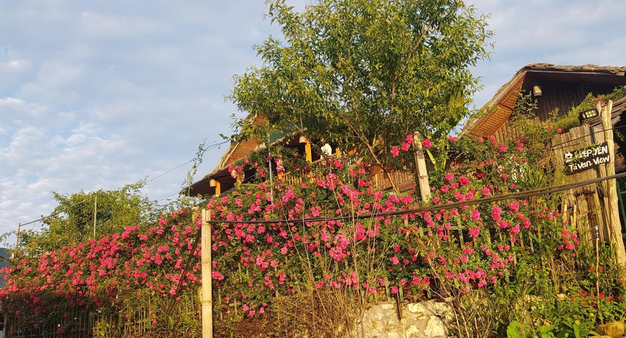 Tavan View Homestay Шапа Экстерьер фото